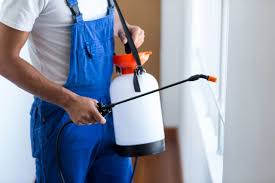 Best Pest Exclusion Services  in Cave Creek, AZ